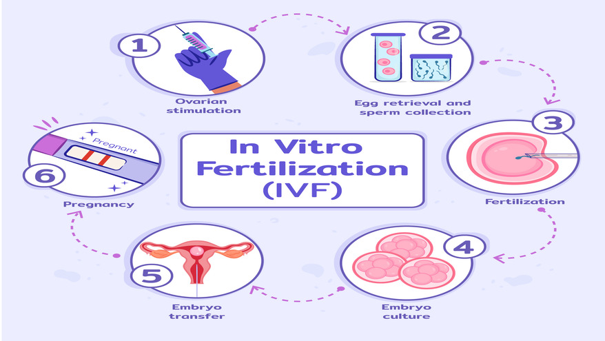What is success rates of ivf by age in New York