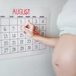 Surrogacy Timeline Explained