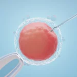 IVF Success Rates Explained