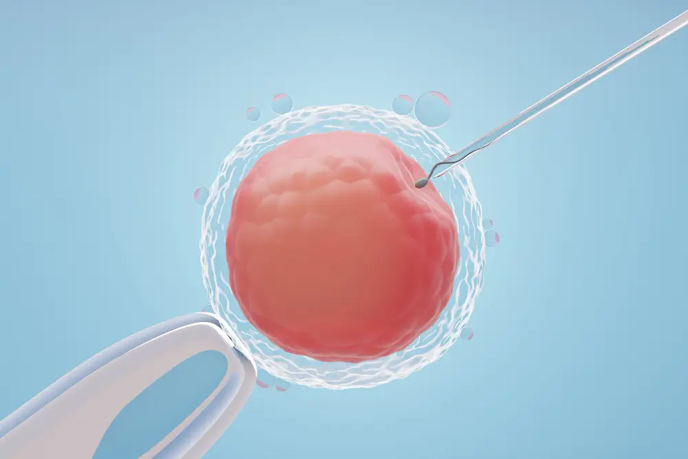 IVF Success Rates Explained