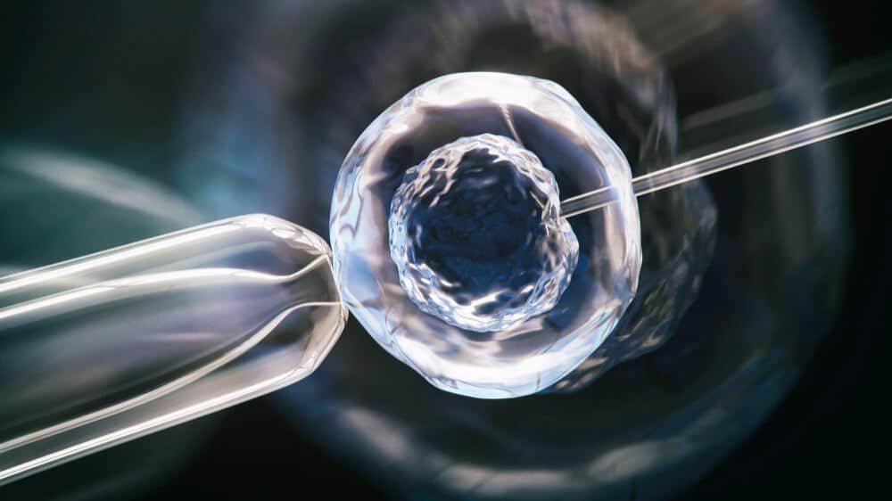 Who Should (and Shouldn’t) Choose Guaranteed Blastocysts