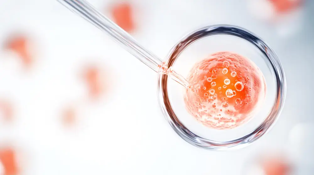 Comparing Fresh vs. Frozen Donor Eggs