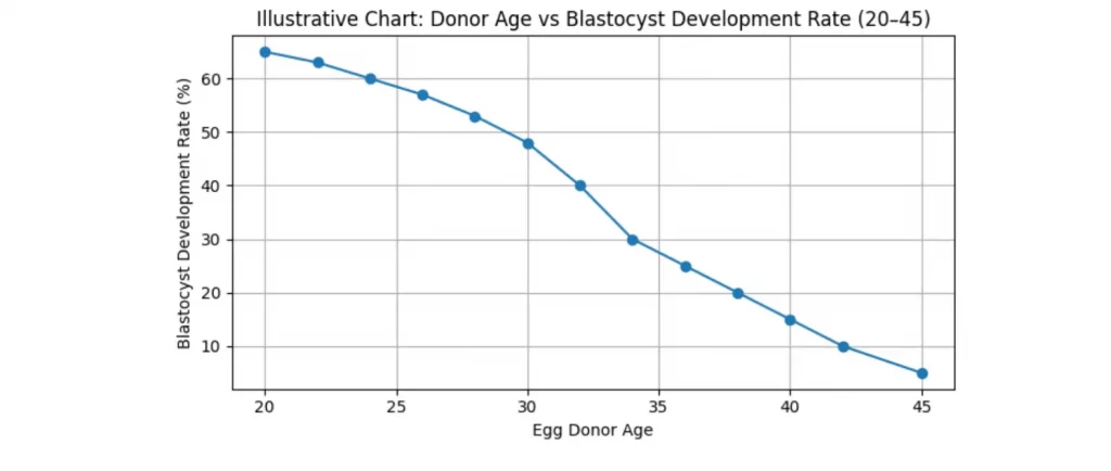 Day‑5 Blastocyst Implantation Success Rates