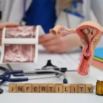 Day‑5 Blastocyst Implantation Success Rates