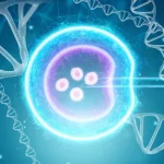 Day-3 vs Day-5 vs Day-6 Embryos