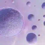 Red Flags in Egg Donation: