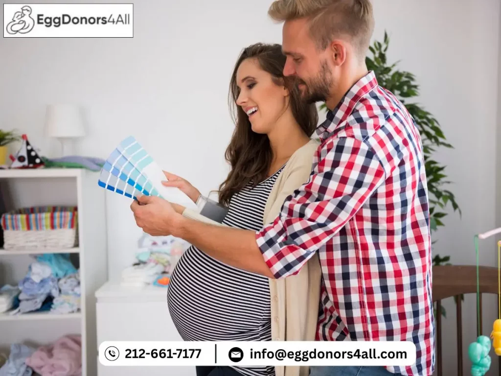 Your Complete Guide to the Egg Donation Cycle and What to Expect