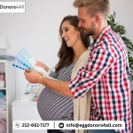 Egg Donation Cycle