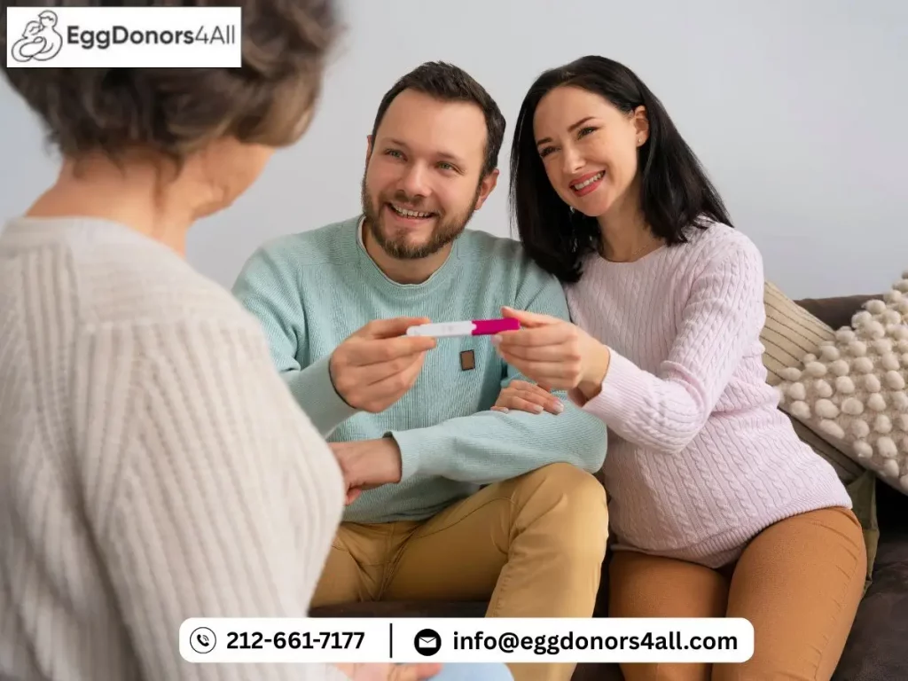 Egg Donation in New York