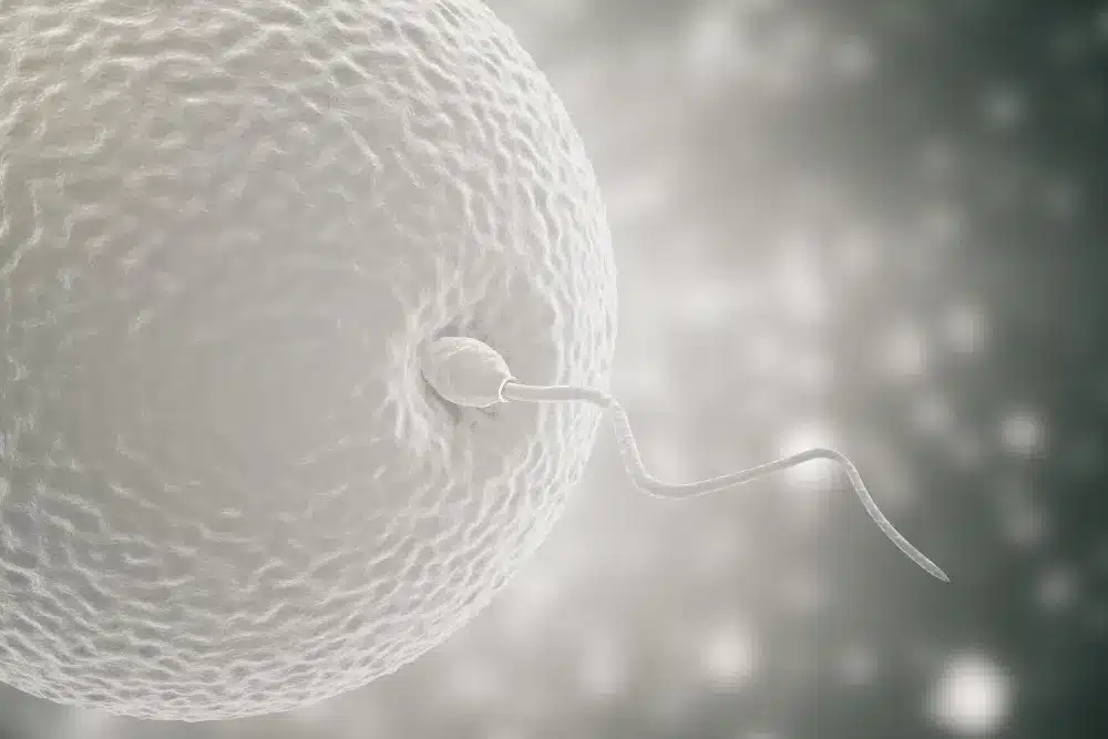 How Many Frozen Eggs Are Needed for One Live Birth