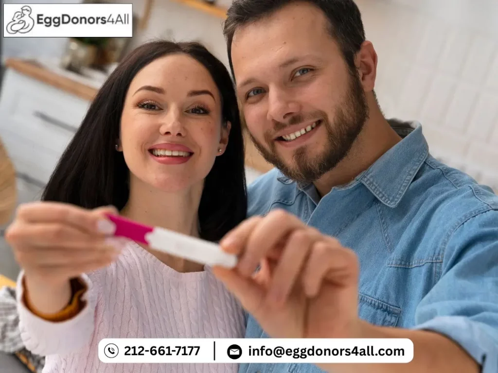 donor egg success rates