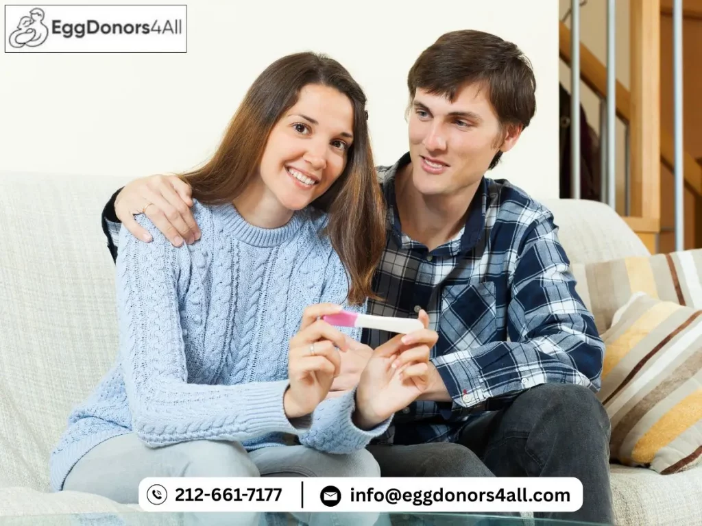 ivf success rates