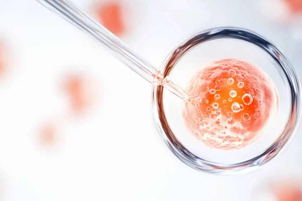 Intended mother in her forties consulting about donor egg IVF